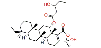 Phyllactone B